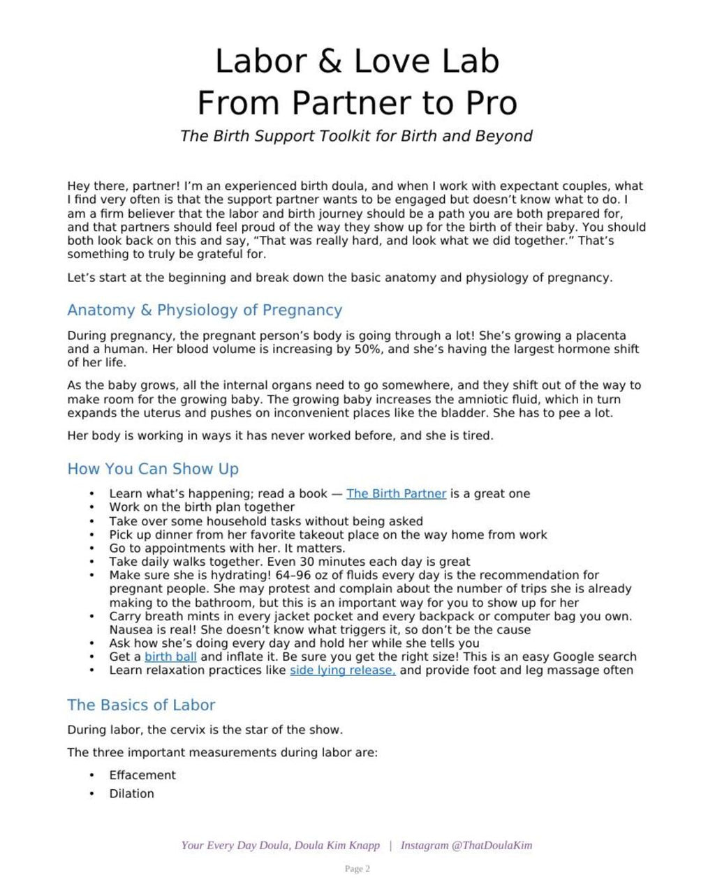 From Partner to Pro: Birth Support Toolkit for Partners