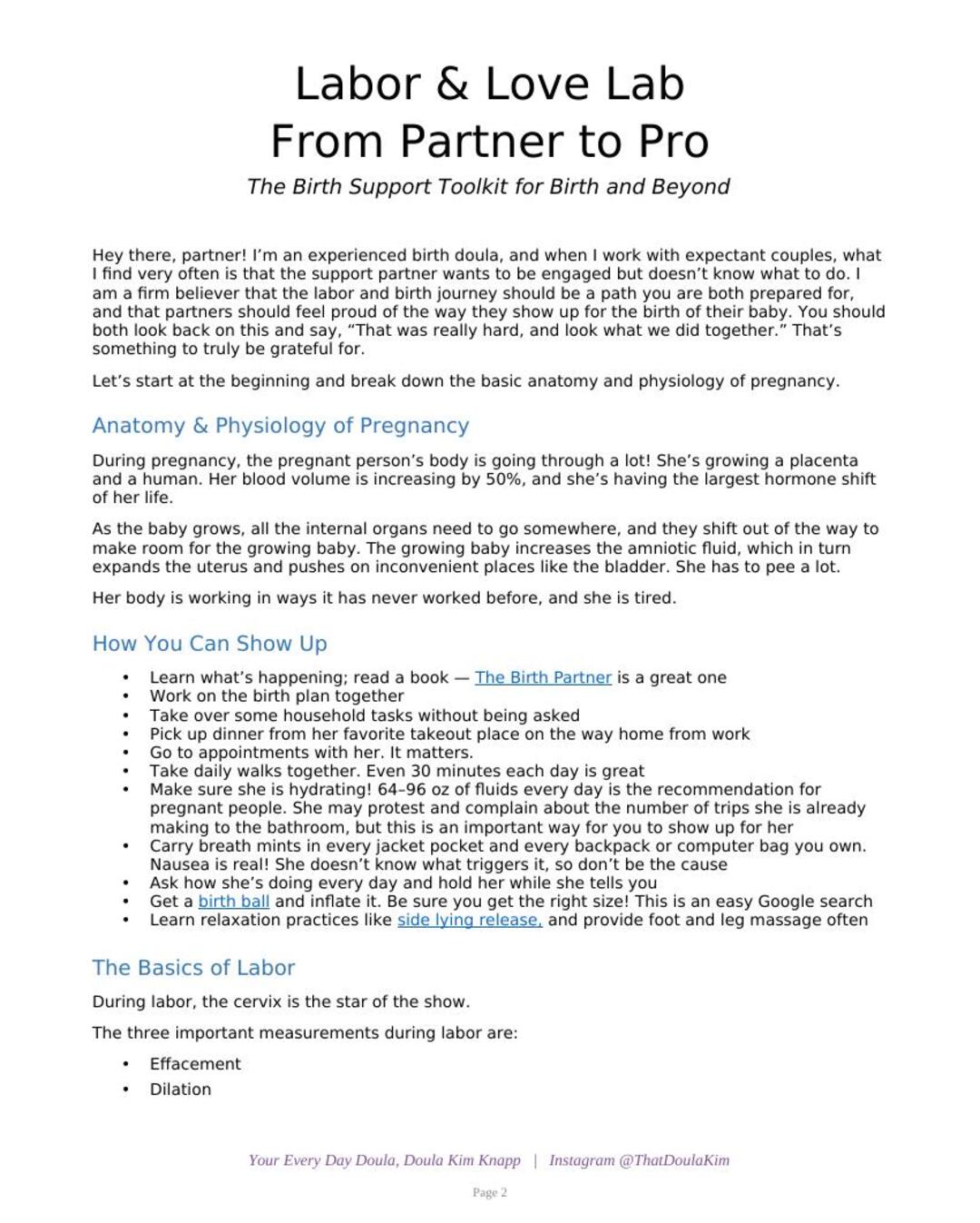 From Partner to Pro: Birth Support Toolkit for Partners