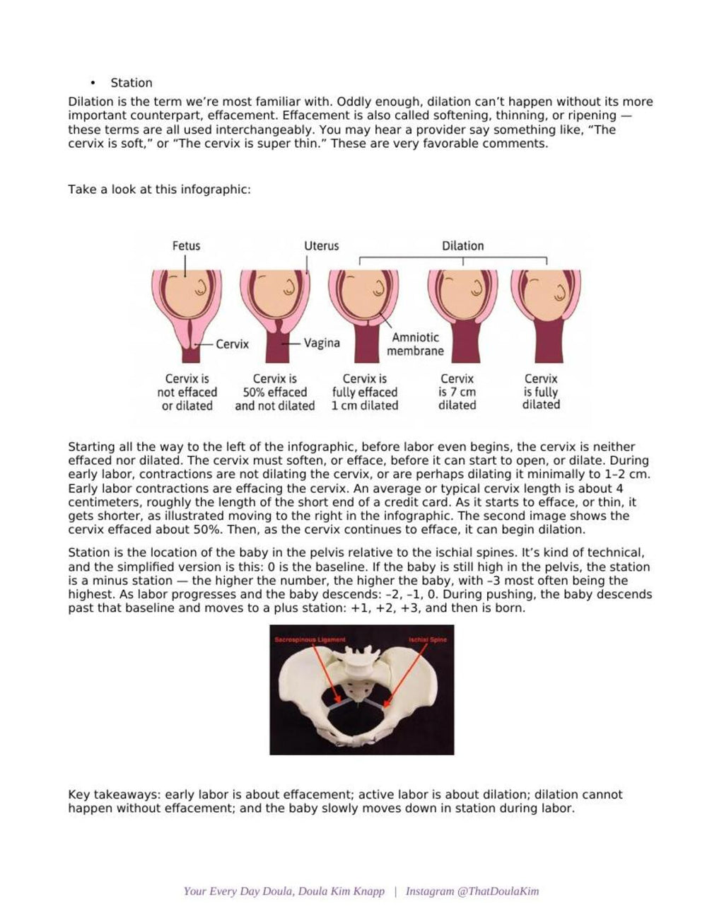 From Partner to Pro: Birth Support Toolkit for Partners