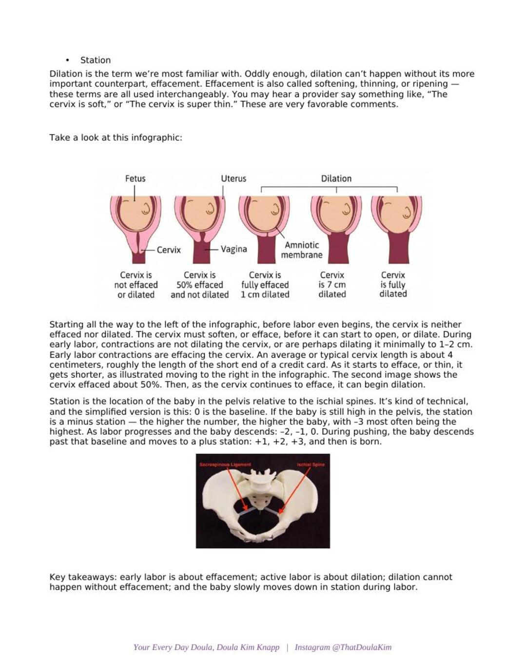 From Partner to Pro: Birth Support Toolkit for Partners
