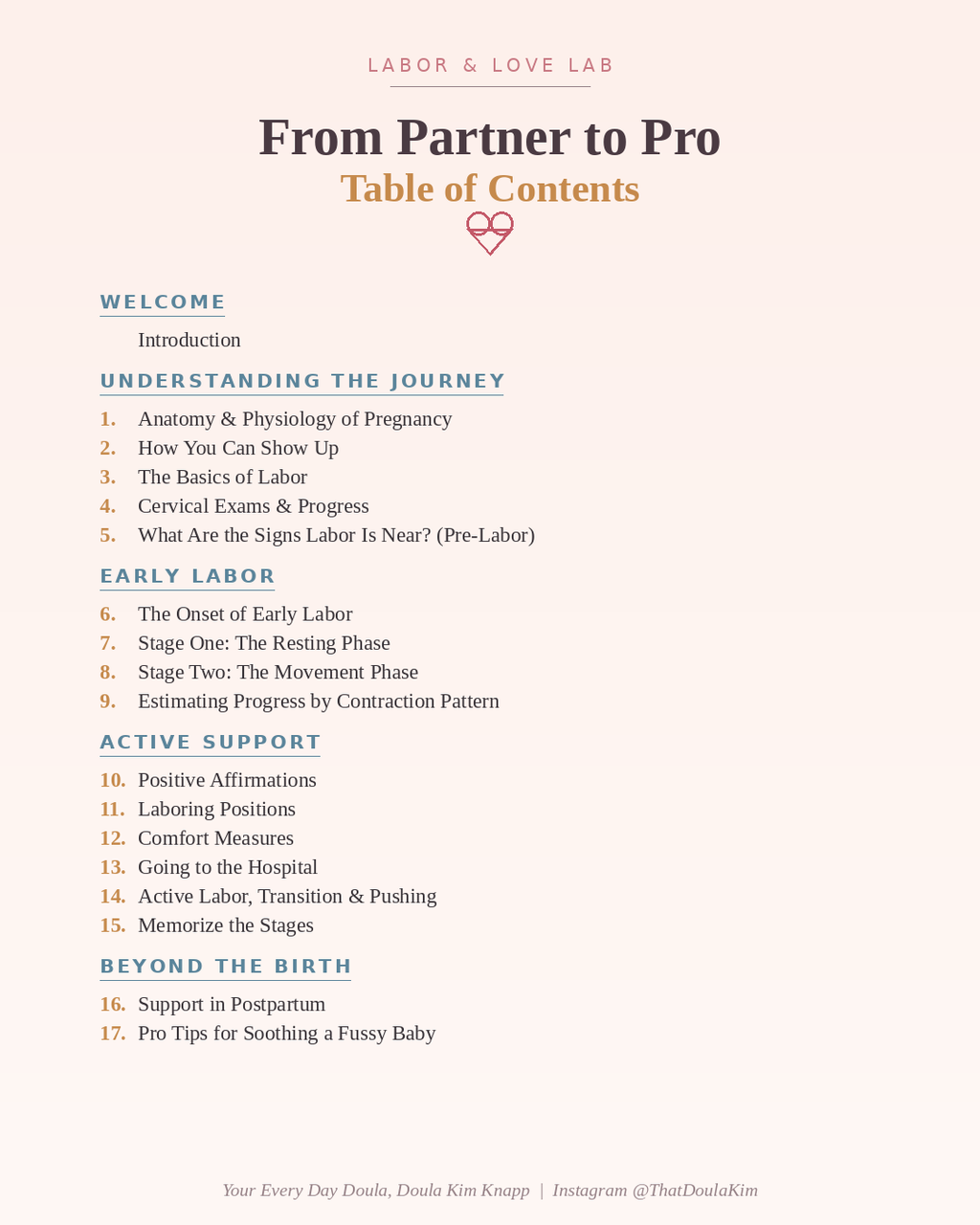 From Partner to Pro: Birth Support Toolkit for Partners