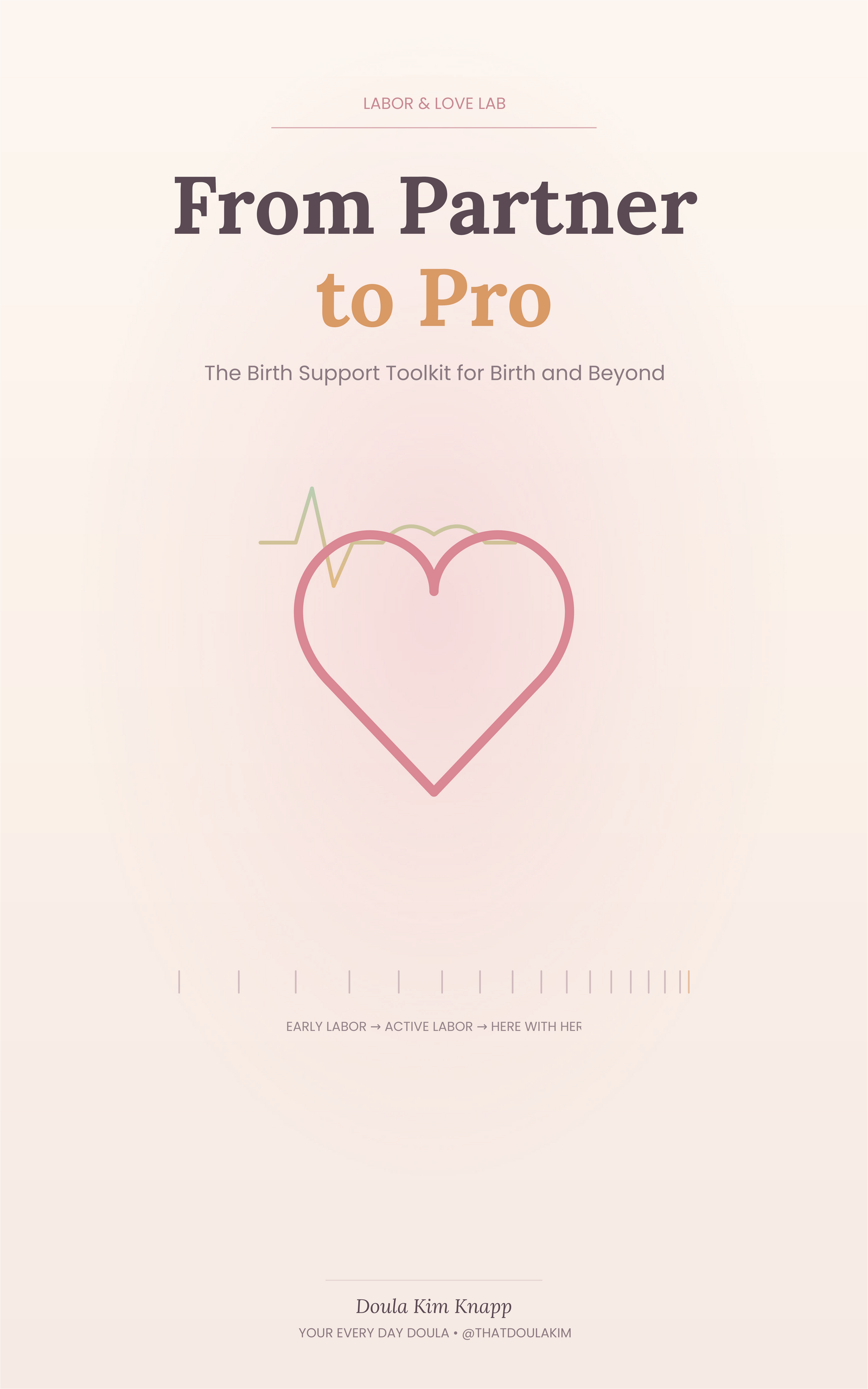 From Partner to Pro: Birth Support Toolkit for Partners